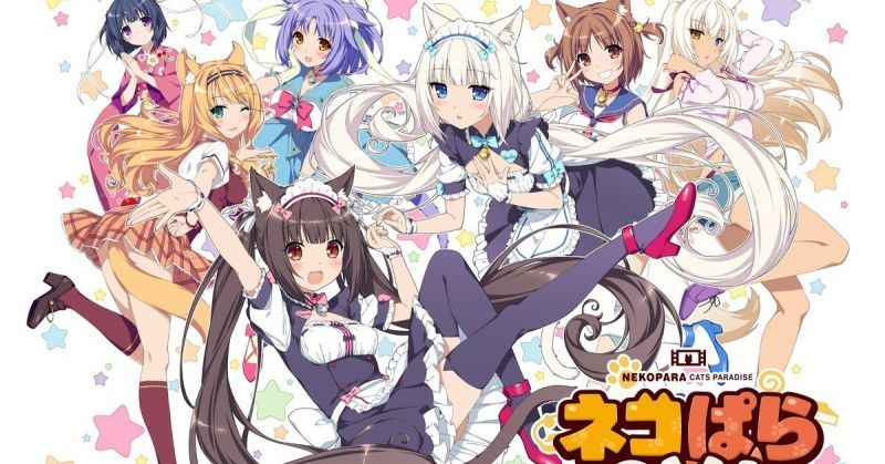 【貓奴專屬】「NEKOPARA」OVA動畫眾籌標準與說明公佈:想在動畫客串出場嗎?機會來了哦~