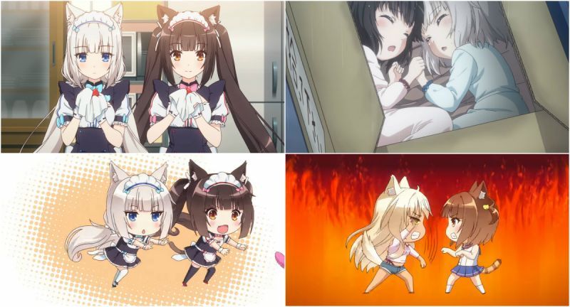 五千位愛貓紳士眾志成城眾籌,「NEKOPARA」OVA動畫正式版PV公開!